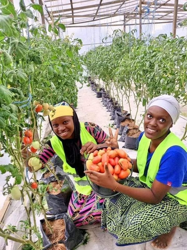 Représentation Commerciale